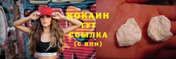 кокс Белокуриха