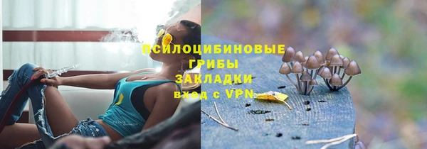 кокс Белокуриха