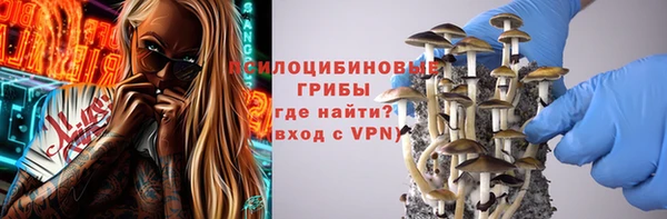 кокс Белокуриха