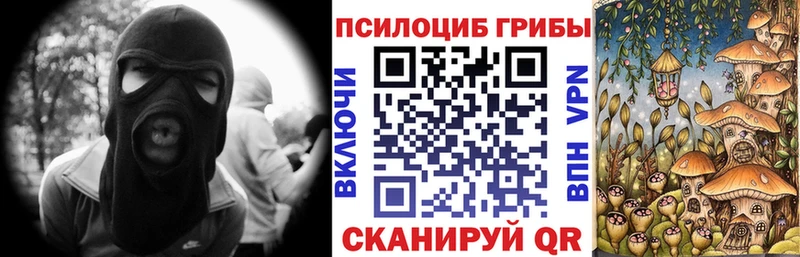 Галлюциногенные грибы Psilocybine cubensis  omg маркетплейс  Нея 